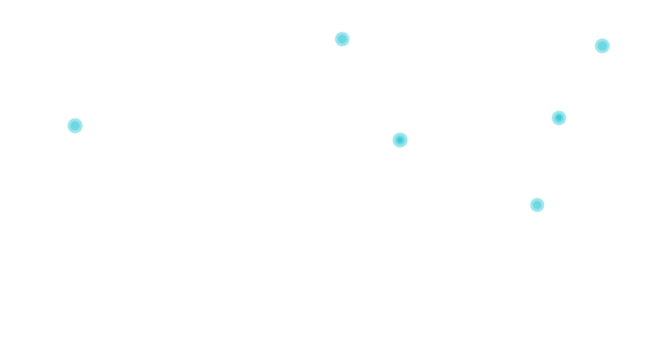 ROTO_Global Network Map