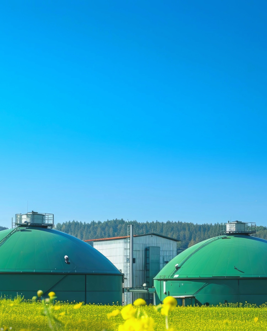 solution_kv_biofuel_mo